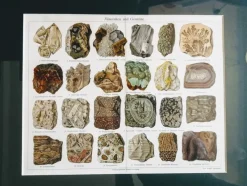 Pamono Minerals and Rocks. Encyclopedic Graphics, Germany, Chromolithograph> Classical