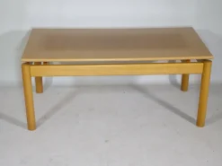 Hot Pamono Minimalist Ash Coffee Table, 1970s