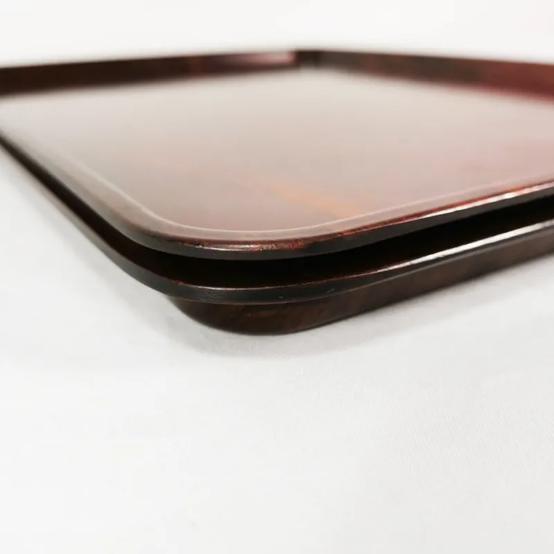 Sale Pamono Minimalist Trays by Gerling, Germany, 1960s, Set of 2