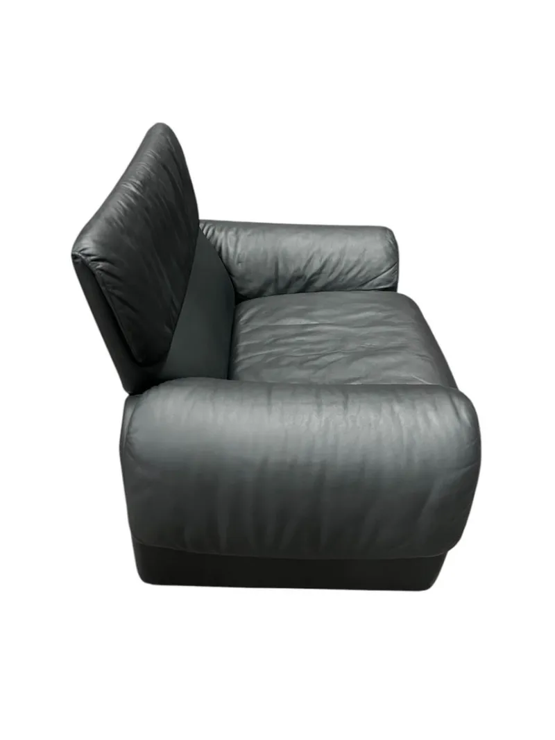 Pamono Model 2011/01 Armchair from de Sede> Lounge Chairs & Armchairs