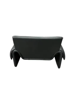 Pamono Model 2011/01 Armchair from de Sede><noscript><img width=