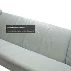 Clearance Pamono Model 1900 2-Seater and 3-Seater Sofa in Leather from Rolf Benz, Set of 2