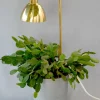 Clearance Pamono Model G98 Flower Lamp by Hans-Agne Jakobsson for HAJ Markaryd, 1960s