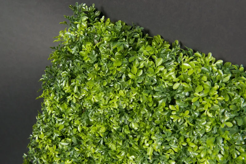 Discount Pamono Modular Boxwood Plant Mix Wall Vertical Garden Panel from VGnewtrend