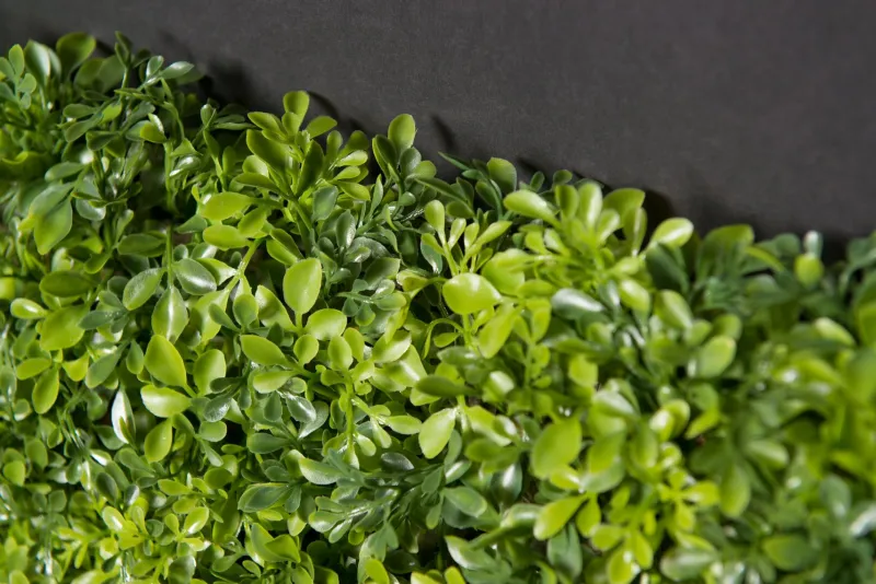 Discount Pamono Modular Boxwood Plant Mix Wall Vertical Garden Panel from VGnewtrend