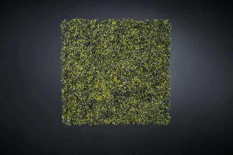 Sale Pamono Modular Boxwood Wall Vertical Garden Panel from VGnewtrend