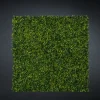 Online Pamono Modular Flat Boxwood Wall Vertical Garden Panel from VGnewtrend