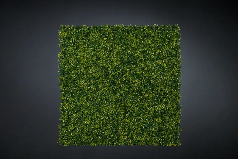 Online Pamono Modular Flat Boxwood Wall Vertical Garden Panel from VGnewtrend