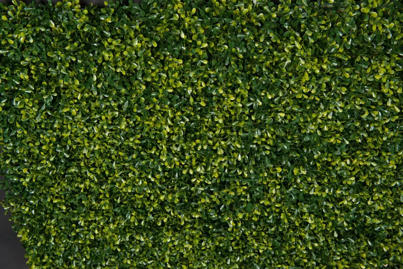 Online Pamono Modular Flat Boxwood Wall Vertical Garden Panel from VGnewtrend