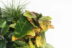 Pamono Modular Hana Wall Vertical Garden Panel from VGnewtrend><noscript><img width=