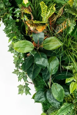 Pamono Modular Hana Wall Vertical Garden Panel from VGnewtrend><noscript><img width=
