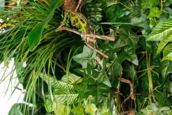 Pamono Modular Hana Wall Vertical Garden Panel from VGnewtrend><noscript><img width=