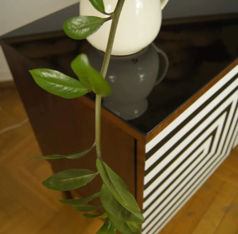 Best Pamono Modular Sideboard with Op Art Motif, 1970s, Set of 2