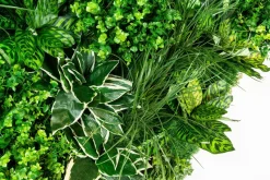 Pamono Molokai Modular Vertical Garden Panel from VGnewtrend><noscript><img width=