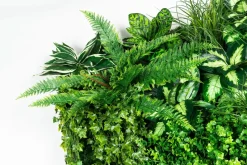Pamono Molokai Modular Vertical Garden Panel from VGnewtrend><noscript><img width=