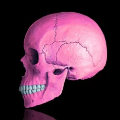 Online Pamono Mr Strange, Death in Pink, 2021, Giclée on Aludibond