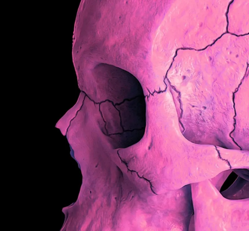 Pamono Mr Strange, Death in Pink, 2021, Giclée on Aludibond