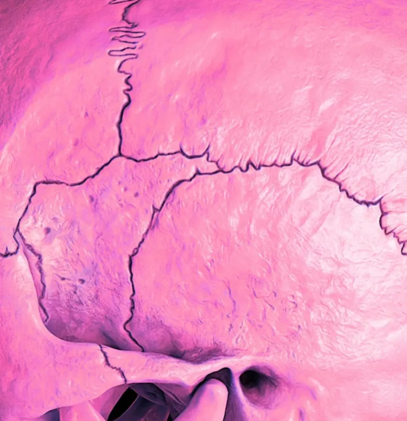 Pamono Mr Strange, Death in Pink, 2021, Giclée on Aludibond