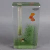 Pamono Murano Glass Single Flower Aquarium Vase by Barbini, 1960s> Vases