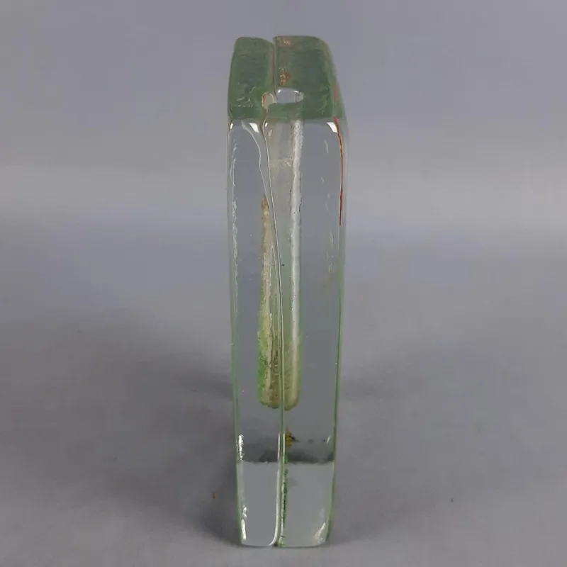 Pamono Murano Glass Single Flower Aquarium Vase by Barbini, 1960s> Vases