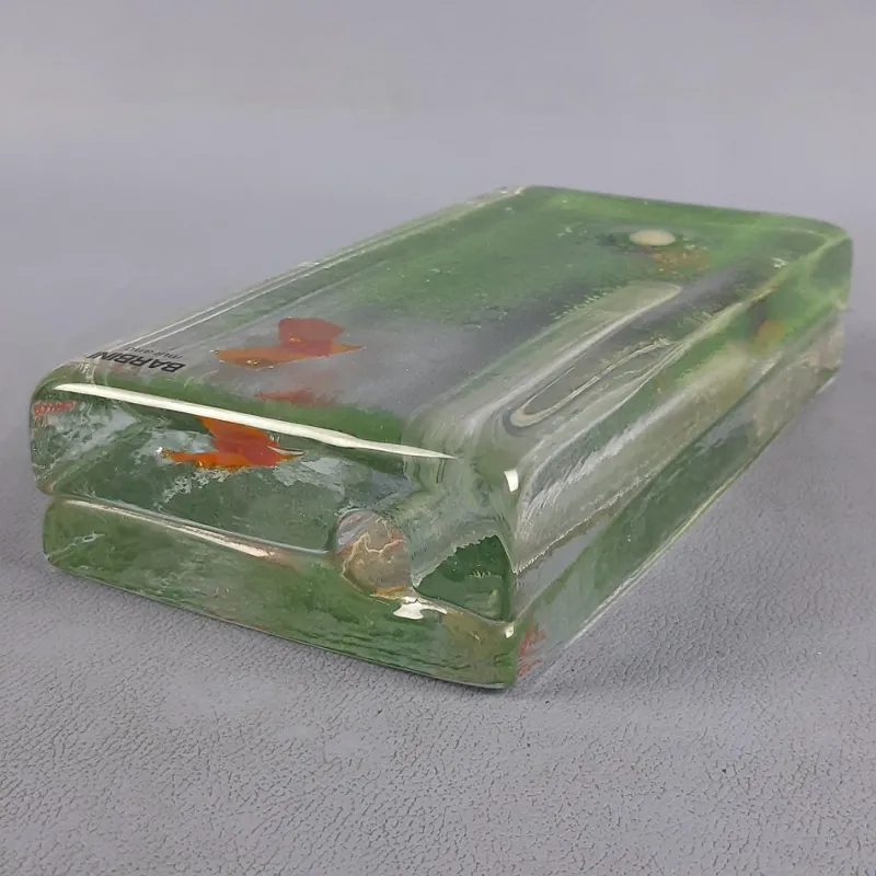 Pamono Murano Glass Single Flower Aquarium Vase by Barbini, 1960s> Vases