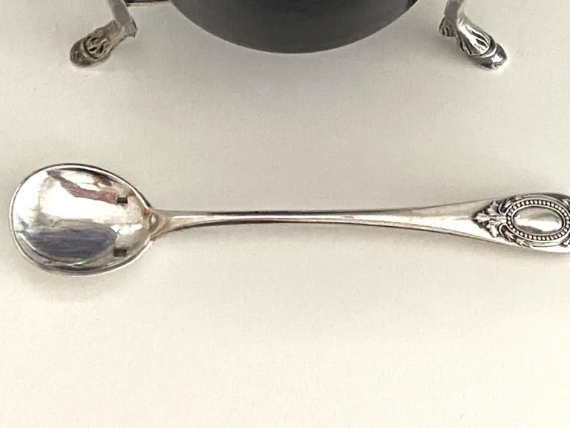Best Pamono Mustard Pot in Silver
