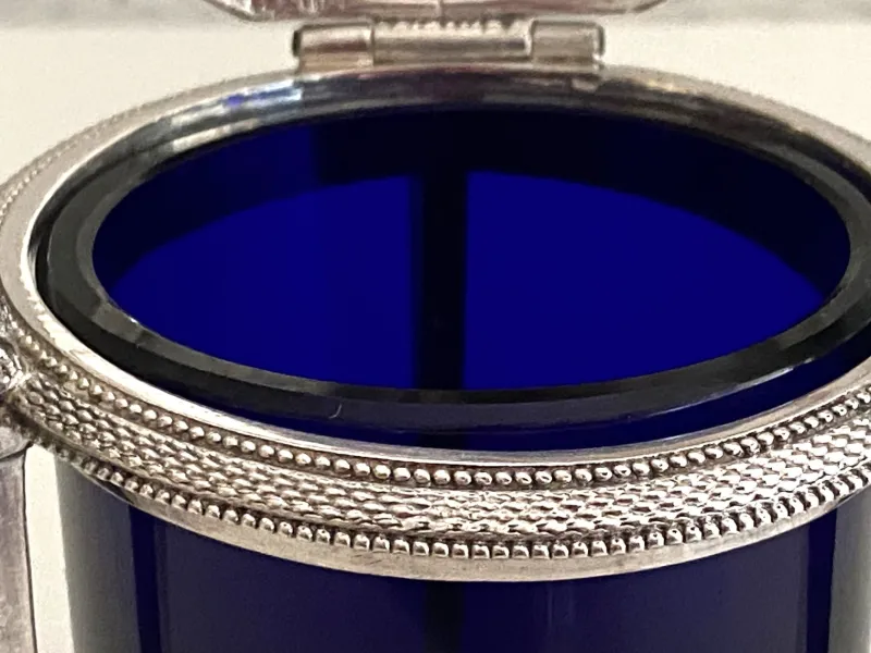 Best Pamono Mustard Pot in Silver