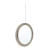 Best Pamono Narcisso Wall Mirror by Sergio Mazza for Artemide, 1960s