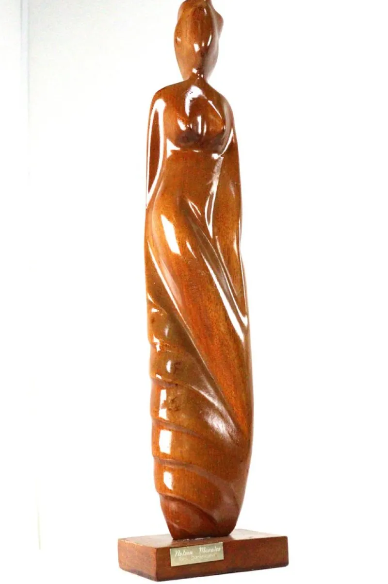 Pamono Nelson Morales, Figurative Sculpture, Wood> Abstraction