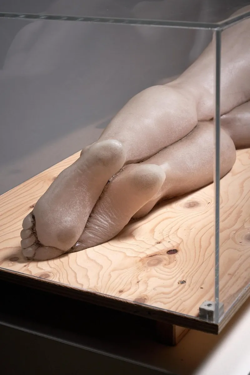 Pamono Nude Lady, 2000s, Wax Figure in Acrylic Glass> Sculpture