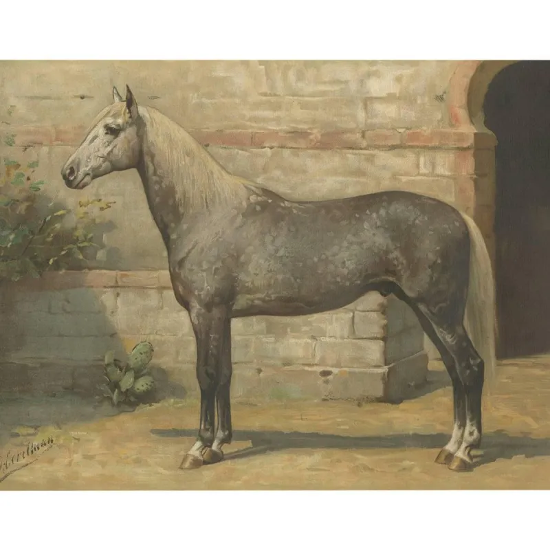 Online Pamono O. Eerelman, Algerian Horse, 1898, Paper