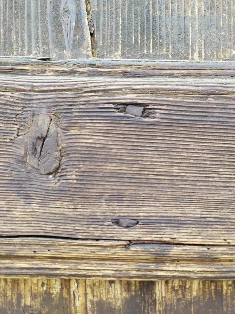 Pamono Old Wooden Door, 1780s> Architectural Elements