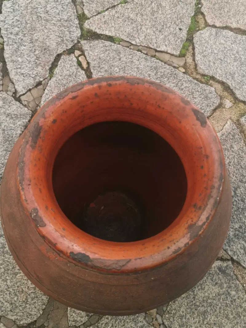 Pamono Olive Oil Pot, 1890s> Garden Accessories