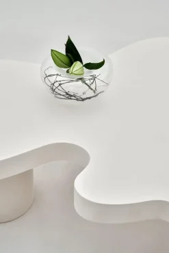 Pamono Organic Flow Coffee Table by Perler