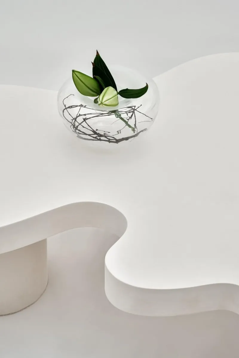Pamono Organic Flow Coffee Table by Perler