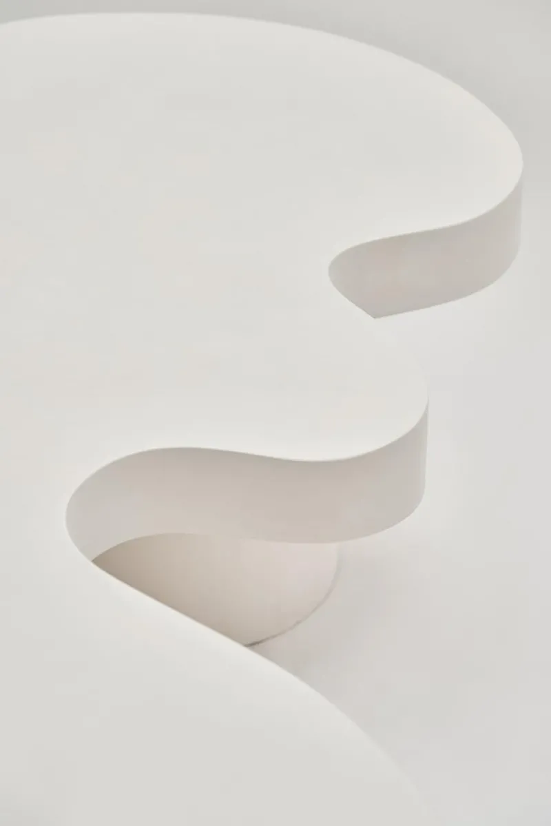 Pamono Organic Flow Coffee Table by Perler
