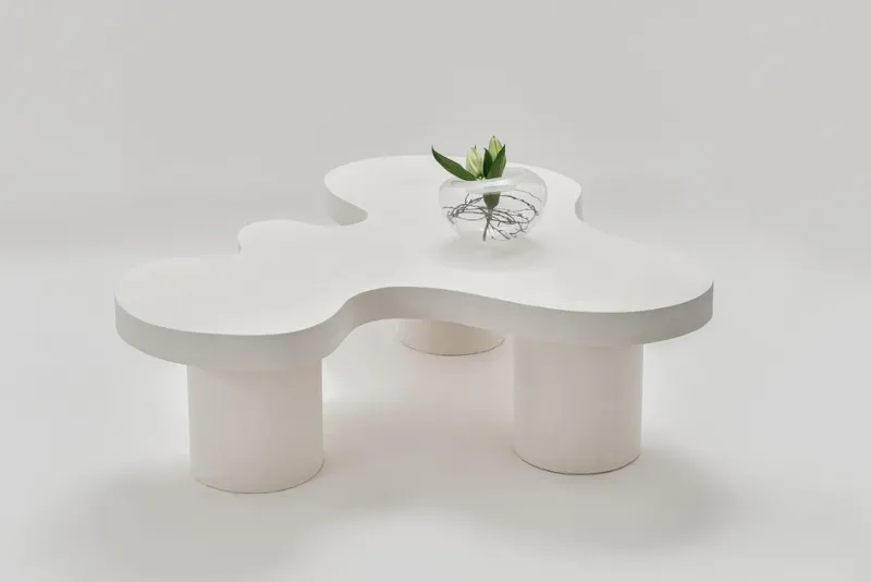 Pamono Organic Flow Coffee Table by Perler