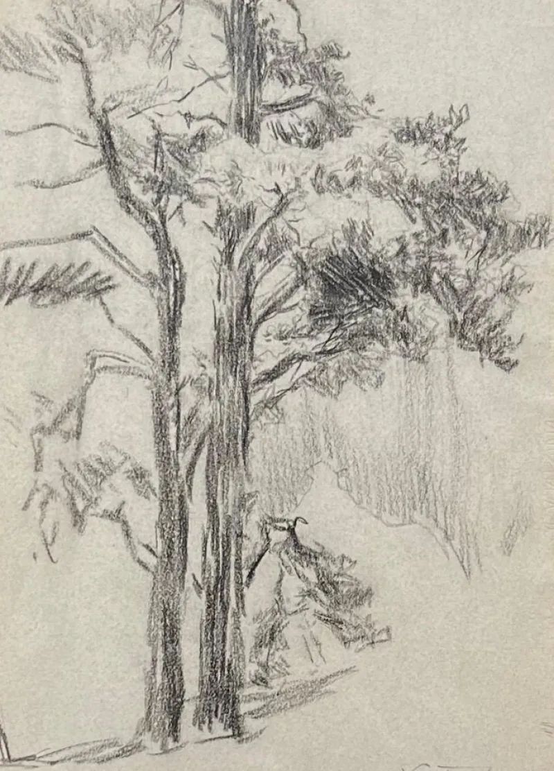 Best Pamono Otto Vautier, Tree, Graphite on Paper