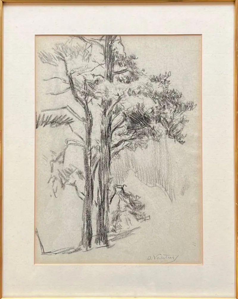 Best Pamono Otto Vautier, Tree, Graphite on Paper