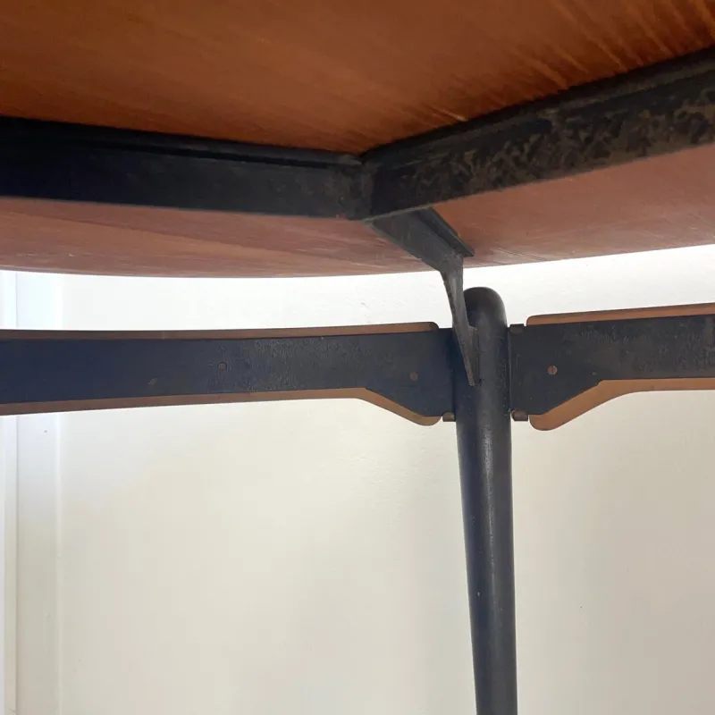 Pamono Oval Table by Silvio Cavatorta, 1960s> Dining Tables & Sets