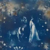 Pamono Parade, Hand-Finished Cyanotype on Paper, Pressed Flowers and Gold Leaf, 2015> Old Masters