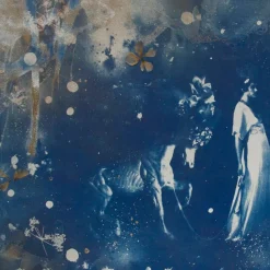 Pamono Parade, Hand-Finished Cyanotype on Paper, Pressed Flowers and Gold Leaf, 2015><noscript><img width=