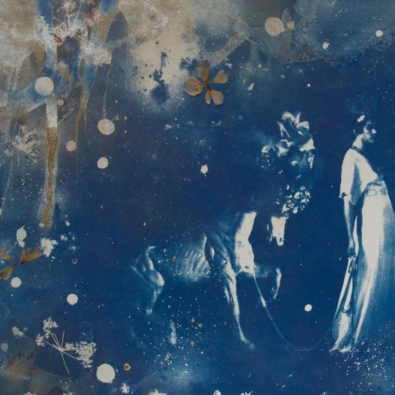 Pamono Parade, Hand-Finished Cyanotype on Paper, Pressed Flowers and Gold Leaf, 2015> Old Masters