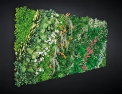 Pamono Parete Vegetale Daintree Wall Panel Vertical Garden from VGnewtrend
