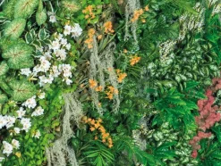 Pamono Parete Vegetale Daintree Wall Panel Vertical Garden from VGnewtrend