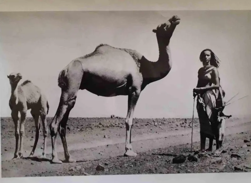 Pamono Peter Beard, Iman on the Set of Beauty and Beasts, Photograph, 1988> Photography