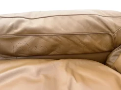 Pamono Petronio 603 Sofa by Tito Agnoli for Poltrona Frau, 1970s> Couches & Sofas