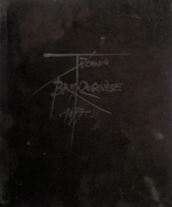 Pamono Pierre-Yves Trémois, Two Faces and Raya, Signed Bas Relief Sculpture><noscript><img width=