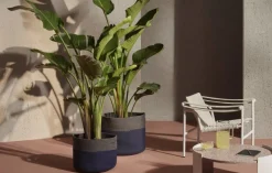 Discount Pamono Podor Outdoor Basket from Cassina, Set of 2