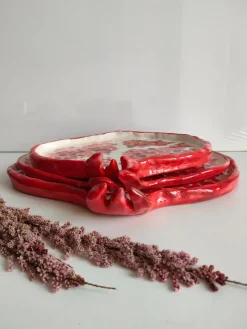 Best Pamono Pomegranate Platter by Federica Massimi